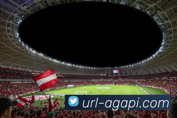 App 展示图